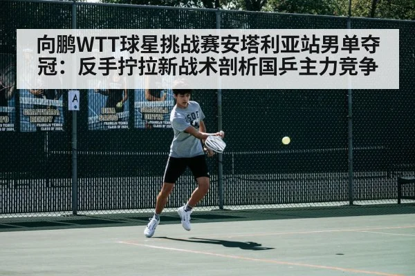 向鹏WTT球星挑战赛安塔利亚站男单夺冠：反手拧拉新战术剖析国乒主力竞争