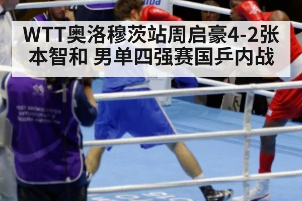 WTT奥洛穆茨站周启豪4-2张本智和 男单四强赛国乒内战